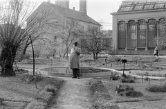 Magyarország, Budapest VIII., Füvészkert., 1968, Homoródy Károly, Budapest, botanikus kert, Fortepan #4316