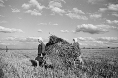 Oroszország, Koltunovka, 1942, Konok Tamás id, felhő, földművelés, mezőgazdaság, aratás, fejkendő, Fortepan #43186