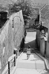 Magyarország, Budapest I., Toldy lépcső a Toldy Ferenc utca felől a Donáti utca felé nézve., 1941, Konok Tamás id, lépcső, Budapest, Fortepan #43201