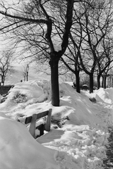 Magyarország, budai Vár, Budapest I., Tóth Árpád sétány (Gróf Bethlen István bástyasétány)., 1940, Konok Tamás id, hó, Budapest, Fortepan #43211