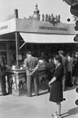 Magyarország, Győr, Radó-sziget, háttérben a Székesegyház tornya., 1943, Konok Tamás id, könyv, Fortepan #43226