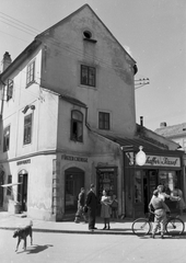 Hungary, Sopron, Előkapu 11., 1943, Konok Tamás id, dog, sign-board, Fortepan #43416