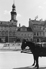 Hungary, Sopron, Kisvárkerület, régi piac, háttérben a Tűztorony., 1943, Konok Tamás id, horse, Fortepan #43426