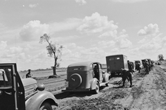 Magyar Királyi Haditudósító század gépkocsi menetoszlopa., 1942, Konok Tamás id, amerikai gyártmány, teherautó, második világháború, Chevrolet-márka, automobil, rendszám, katonai rendszám, Fortepan #43501