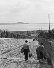 Magyarország,Balaton, Badacsony, Badacsonytomaj, Kisfaludy Sándor utca, úton a Kisfaludy-ház felől a Római út felé., 1964, Konok Tamás id, Fortepan #43539