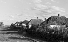 Oroszország, Koltunovka, 1942, Konok Tamás id, falu, nádtető, Fortepan #43723