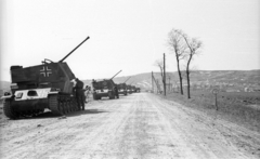 Magyarország, Zsámbék, a település határa a Páty felé vezető úton. 40M Nimród légvédelmi gépágyú üteg tüzelőállásban., 1940, Ludovika, magyar gyártmány, katonaság, MÁVAG-márka, 40M Nimród, Fortepan #43995