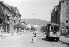 Magyarország, Pécs, Szabadság utca az Indóház tér felől nézve, háttérben a Székesegyház látszik., 1958, Fortepan, portré, templom, utcakép, villamos, nő, Fortepan #44050