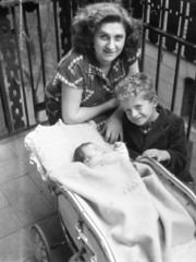 1960, Fortepan, baby carriage, Fortepan #44170