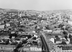 Magyarország, Pécs, látkép a Magasház tetejéről a Székesegyház és a belváros felé nézve., 1975, Kádas Tibor, Bazilika, látkép, katolikus, neoromán építészet, székesegyház, Fortepan #4435