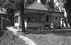 Magyarország,Balaton, Siófok, Szabadifürdő (ekkor Balatonszabadi-fürdőtelep)., 1962, Korenchy László, nyaraló, Fortepan #44494