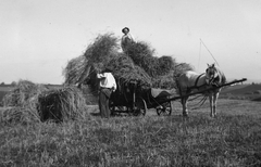 Hungary, Solymár, 1930, Korenchy László, horse, chariot, agriculture, work, hay, Best of, Fortepan #44577