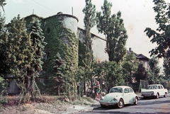 Magyarország, Budapest XII., Lejtő út 22., 1969, Madarász Géza, színes, német gyártmány, Renault-márka, Volkswagen-márka, francia gyártmány, repkény, automobil, Renault 10, Budapest, Fortepan #44874