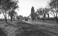 Magyarország, Balatonakali, magyar nemesítésű "Jegenye-mandula fasor" a 71-es út mellett., 1959, Mészáros Zoltán, német gyártmány, Mercedes-márka, országút, automobil, mercedes w120, Fortepan #45096