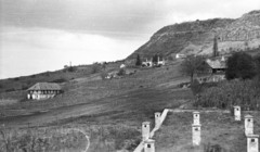 Magyarország, Somlóvásárhely, szőlőültetvények és borászatok a Somló oldalában., 1959, Mészáros Zoltán, tájkép, szőlő, szőlőhegy, borospince, Fortepan #45104