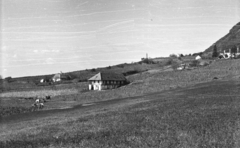 Magyarország, Somlóvásárhely, szőlőültetvények és borászatok a Somló oldalában., 1959, Mészáros Zoltán, tájkép, présház, borospince, Fortepan #45108