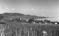 Magyarország,Balaton, Badacsony, Badacsonytomaj, Kilátás a Badacsonyról, az előtérben Badacsonytomaj, a háttérben Badacsonyörs és az Örsi hegy., 1959, Mészáros Zoltán, szőlő, Fortepan #45132