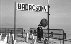 Magyarország,Balaton, Badacsony, Badacsonytomaj, kikötő, Udvardi Erzsébet festőművész., 1959, Mészáros Zoltán, portré, nő, kikötő, viharkosár, helységnév tábla, viharjelzés, Fortepan #45141