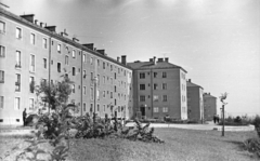 Hungary, Kazincbarcika, Építők útján álló házak hátsó frontja., 1960, Mészáros Zoltán, blocks, lamp post, socialist realism, Fortepan #45188