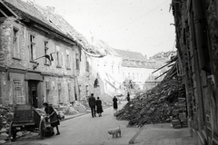 Magyarország, budai Vár, Budapest I., Úri utca a Nőegylet utca felől a Szentháromság utca felé nézve., 1945, Fortepan, kutya, rom, épületkár, Budapest, zászló, kordé, Fortepan #45596