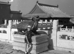 Kína, Peking, Császári Palota, Sárkányfejes teknősbéka szobor., 1959, Kina, portré, gyermek, szobor, kisfiú, szalmakalap, fényképezőgép, teknős, Altissa-márka, sárkány ábrázolás, Fortepan #45659