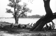 Magyarország, Budapest III., Újlaki rakpart., 1956, Lencse Zoltán, Budapest, fiúk, tanár, rajztábla, Fortepan #46030