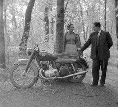 Triumph TWN típusú motorkerékpár., 1959, Fortepan, portré, közlekedés, erdő, motorkerékpár, férfi, nő, kettős portré, lányok-járművek, Fortepan #4613