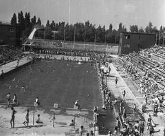 Magyarország, Margitsziget, Budapest, Hajós Alfréd Nemzeti Sportuszoda., 1958, Eperjesi Gyula, sport, medence, uszoda, fürdőzés, ugrótorony, Hajós Alfréd-terv, rajtkő, Fortepan #46169