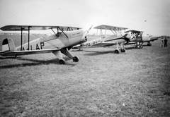 Előtérben egy Bücker Bü 131 "Jungmann" repülőgép, magyar neve "Csíz", ezt követi a Szegedy M-21 Harag műrepülőgép, takarásban Bánhidi Antal Gerle 14 típusú repülőgépe, távolban egy Messerschimitt Bf-108 Taifun futárrepülőgép orra látszik., 1938, Vojnich Pál, német gyártmány, magyar gyártmány, repülőgép, katonaság, MKHL, Bücker-márka, Szegedy-márka, Messerschmitt-márka, Bánhidi Antal-terv, Bücker Bü 131, Messerschmitt Bf-108 Taifun, biplán, Bánhídi Gerle, Fortepan #46223