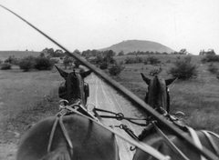 Magyarország, Tapolcai-medence Hegyesd felöl Zalahaláp felé nézve. Szemben a vulkáni eredetű Haláp., 1941, Vojnich Pál, ló, fogat, tájkép, ostor, Fortepan #46355