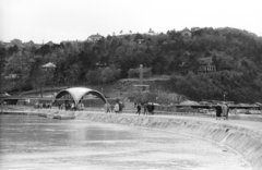 Magyarország,Balaton, Tihany, kikötő., 1966, Mészáros Zoltán, kikötő, Fortepan #46561