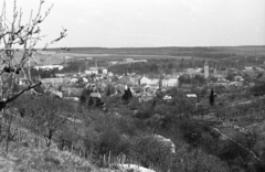 Magyarország, Kőszeg, látkép a Szultán tetőről. Jobbra a Királyvölgy, háttérben az evangélikus templom., 1968, Mészáros Zoltán, városkép, Fortepan #46691