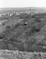 Magyarország, Kőszeg, látkép a Szultán tetőről. Balra a Szent Imre-templom, jobbra a Jézus Szíve-templom., 1968, Mészáros Zoltán, kert, városkép, kilátás, gyümölcsös, Fortepan #46692