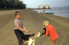 Oroszország, Togliatti, Volga-part., 1973, Gwen Jones, Szovjetunió, hajó, színes, kutya, csónak, gyerekek, tenger, Volga-folyó, vízpart, német juhászkutya, kutyasétáltatás, Fortepan #46878