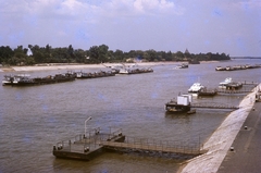 Magyarország, Budapest XIII., Margitsziget az Újpesti rakpart felől nézve., 1968, Gwen Jones, hajó, színes, folyó, uszály, kikötő, vontatóhajó, hajóállomás, vízibusz, Budapest, Fortepan #46921