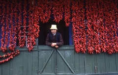 Románia,Erdély, Szék, 1989, Urbán Tamás, portré, kalap, színes, szalmakalap, férfi, tornác, paprika, fűszerpaprika, Fortepan #46947