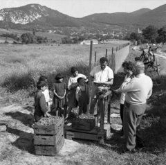 Magyarország, Csobánka, 1971, Magyar Rendőr, hintó, férfiak, lovaskocsi, életkép, fogat, nyár, gyerekek, Fortepan #47028