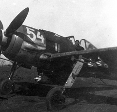 Focke-Wulf Fw 190F-8 típusú vadászbombázó repülőgép., 1944, Vargha Zsuzsa, közlekedés, német gyártmány, repülőgép, MKHL, második világháború, Focke-Wulf-márka, Focke-Wulf Fw 190, Fortepan #47224