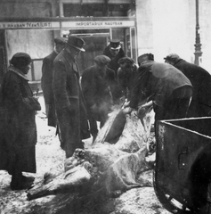 Hungary, Budapest VII., Madách Imre út., 1945, Szinnay Gábor, Budapest, men, label, pedestrian, horse, carrion, cop, Fortepan #47428