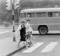 Magyarország, Budapest, 1976, Fortepan, autóbusz, jelzőlámpa, Ikarus 31/311, Ikarus-márka, Fortepan #4898