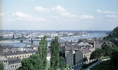 Hungary, Budapest I., látkép a Halászbástyáról a Széchenyi Lánchíddal., 1963, Nagy Gyula, colorful, picture, Danube, Budapest, suspension bridge, William Tierney Clark-design, Fortepan #50820