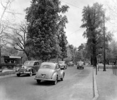 Magyarország, Margitsziget, Budapest, a Palatinus Strandfürdő előtti buszmegálló., 1954, UVATERV, közlekedés, csehszlovák gyártmány, német gyártmány, brit gyártmány, szovjet gyártmány, GAZ-márka, Skoda-márka, taxi, EMW-márka, buszmegálló, fasor, GAZ M20 Pobjeda, Skoda 1101/1102 Tudor, EMW 340, Vauxhall-márka, Vauxhall Velox, rendszám, Fortepan #5088