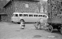 Magyarország, Galyatető, Mátraszentimre, 1960, Nagy Gyula, autóbusz, magyar gyártmány, Ikarus-márka, MÁVAUT-szervezet, szamár, fogat, Ikarus 55, fotózás, Fortepan #51076