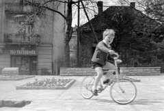 Magyarország, Budapest XII., Királyhágó (Joliot-Curie) tér, balra a Nemzetközi Rózsakert emléktáblája., 1961, Fortepan, cégtábla, Budapest, Fortepan #5113