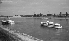 Magyarország, Budapest, pesti Duna-part a Margitszigetről nézve., 1960, Nagy Gyula, hajó, vízibusz, Dunakeszi/Nagymaros hajó, Leányfalu hajó, Fortepan #51226