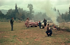 Szlovákia, Tátralomnic, 1959, Nagy Gyula, Csehszlovákia, erdő, színes, csehszlovák gyártmány, nők, férfiak, Skoda-márka, piknik, gyerekek, tűzrakás, lengyel gyártmány, Skoda Octavia, Mikrus MR-300, WSK Mielec-márka, rét, Felvidék, Tátra hegység, Fortepan #51266