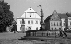 Csehország, Tábor, Zizkovo Námestí, díszkút., 1959, Nagy Gyula, Csehszlovákia, kút, szobor, utcakép, kockakő, reneszánsz, Jan Žižka-ábrázolás, Koudelka lovag-ábrázolás, Fortepan #51323