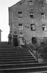 Czech Republik, Karlovy Vary, Hálkuv Vrch lépcső., 1956, Nagy Gyula, Czechoslovakia, stairs, Fortepan #51403