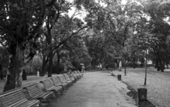 Czech Republik, Prague, námestí Svatopluka Cecha., 1956, Nagy Gyula, Czechoslovakia, street furniture, bench, Fortepan #51460