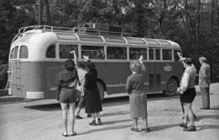 1955, Nagy Gyula, bus, Hungarian brand, Ikarus-brand, MÁVAUT-organisation, wave, travelling, beret, roof rack, Fortepan #51707